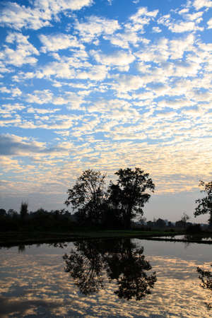Sunbeams Over A Marsh の写真素材