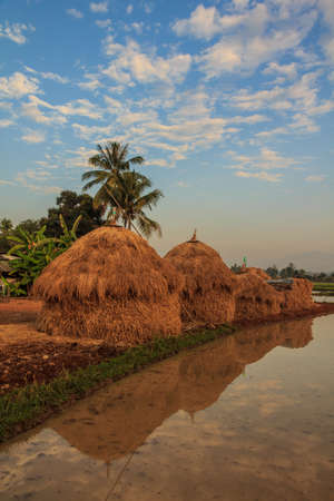Straw bales on farmland in the morningの写真素材