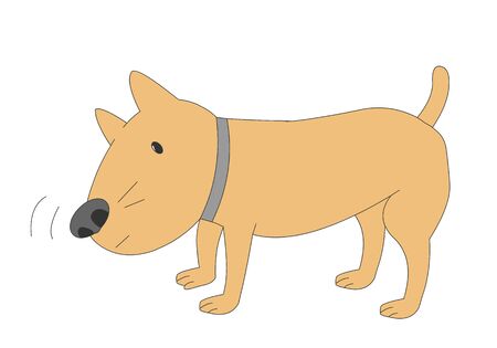 An illustration of a dog smelling and finding out what it is.のイラスト素材
