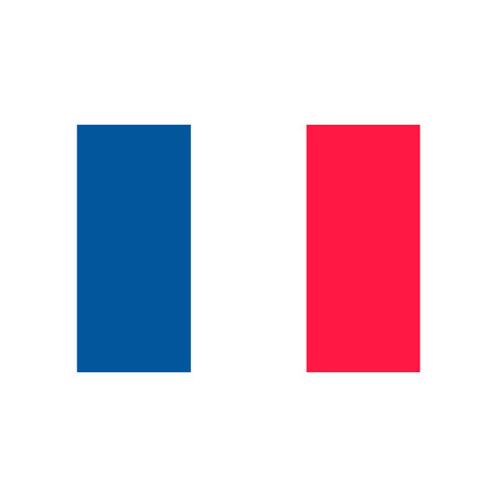 Flag icon vector isolated on white background for your web and mobile app design, Flag logo conceptのイラスト素材