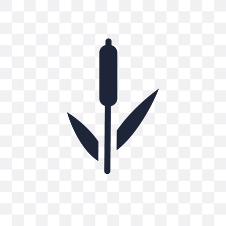 Reed transparent icon. Reed symbol design from Nature collection. Simple element vector illustration on transparent background.のイラスト素材