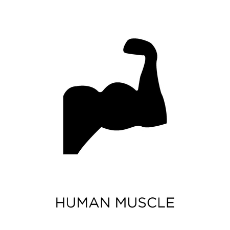 Human Muscle icon. Human Muscle symbol design from Human Body Parts collection.のイラスト素材