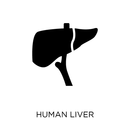 Human Liver icon. Human Liver symbol design from Human Body Parts collection.のイラスト素材