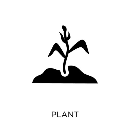 Plant icon. Plant symbol design from Agriculture, Farming and Gardening collection. Simple element vector illustration on white background.のイラスト素材