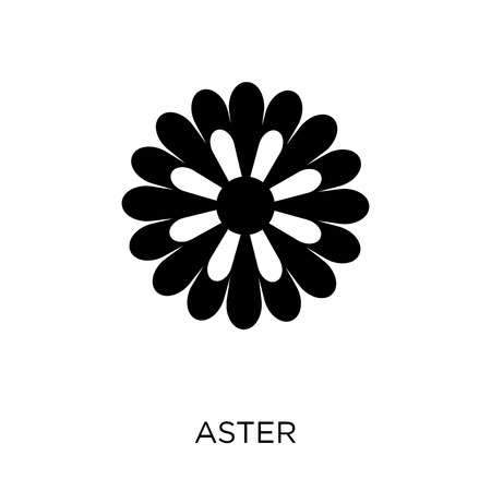 Aster icon. Aster symbol design from Nature collection. Simple element vector illustration on white background.のイラスト素材