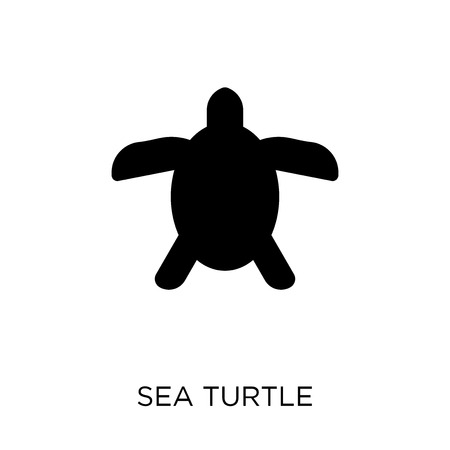 Sea turtle icon. Sea turtle symbol design from Summer collection. Simple element vector illustration on white background.のイラスト素材