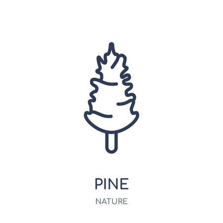 Pine icon. Pine linear symbol design from Nature collection. Simple outline element vector illustration on white background.のイラスト素材