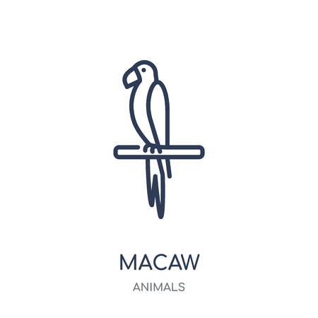 Macaw icon. Macaw linear symbol design from Animals collection. Simple outline element vector illustration on white background.のイラスト素材