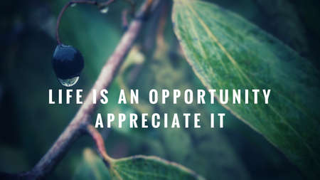 Motivational and inspirational quote - Life is an opportunity, appreciate it. With blurred vintage styled background.の写真素材