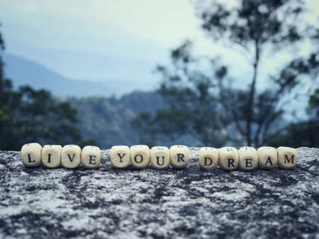 Motivational and inspirational quote - âLive your dreamâ formed from arranged wooden blocks with letter written on them.の写真素材
