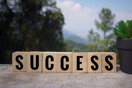 Motivational and inspirational word - âSUCCESSâ word written on wooden blocks. Blurred styled background.の写真素材