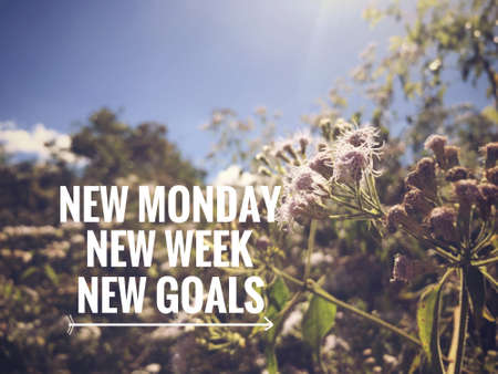Motivational and inspirational quote - New Monday, New Week, New Goals. Blurred styled background.の写真素材