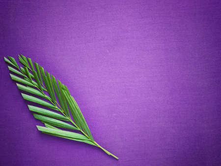 Good Friday, Lent Season and Holy Week concept - Palm leaves on purple background.の写真素材