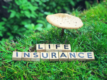 Life Insurance concept - Life Insurance written on wooden blocks.の写真素材