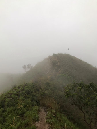 View of hill located in Berekeh, Perak, Malaysia.の写真素材