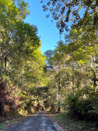 View of asphalt hiking trails to the top of Kledang Hill located in Perak, Malaysia.の写真素材