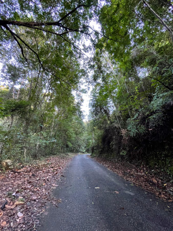 View of asphalt hiking trails to the top of Kledang Hill located in Perak, Malaysia.の写真素材