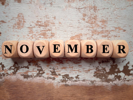 Month, time and celebration concept. NOVEMBER written on wooden blocks. With blurred styled background.の写真素材