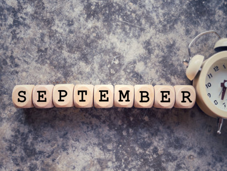 Month, time and celebration concept. FEBRUARY written on wooden blocks. With blurred styled background.の写真素材