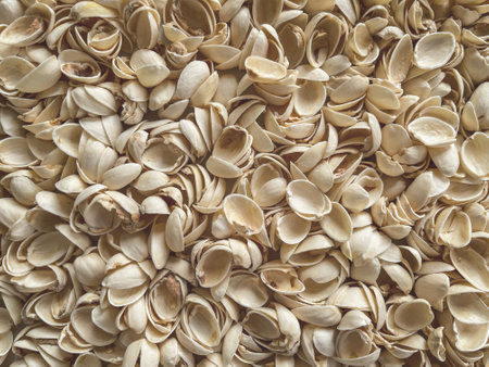 Background and texture concept. Background of empty Pistachio nut shells.の写真素材