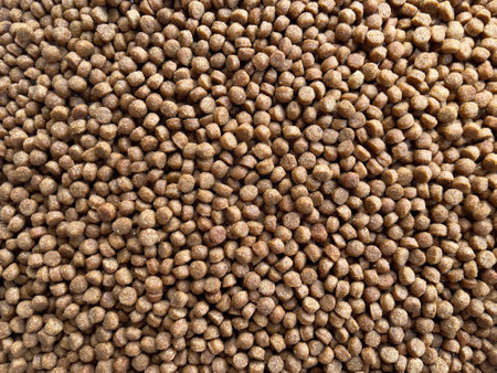Food and background concept. Background of petâs food or kibbles.の写真素材