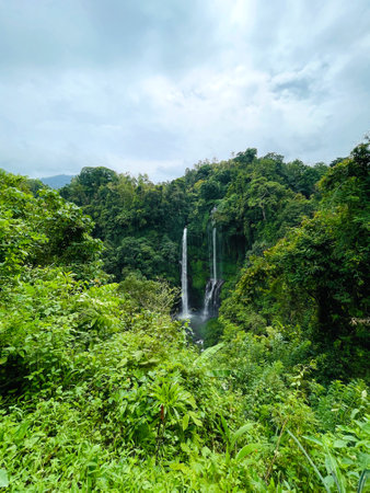 Tropical rainforest Sekumpul Waterfall in rainforest on Bali island, Indonesiaの写真素材