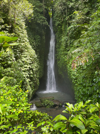 Tropical Leke-leke Waterfall in the rainforest of Bali, Indonesiaの写真素材