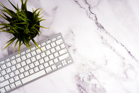 Keyboard and green plant on white marble background with copy space.の写真素材