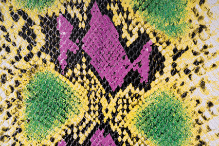 Close up of colorful python snake skin leather