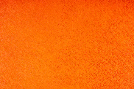 Leather orange flat layの写真素材