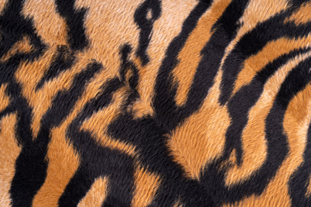 Close up of tiger fur texture backgroundの写真素材