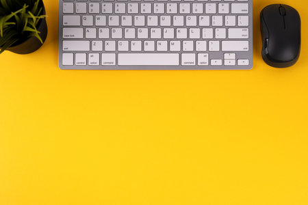 Flat lay view of keyboard, flower in a pot and a computer mouse on yellow backgroundの写真素材