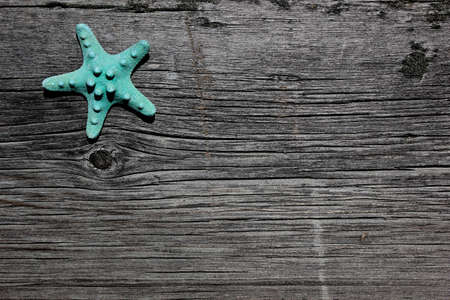 Aqua starfish on barnboard, barn wood at beach oceanの写真素材