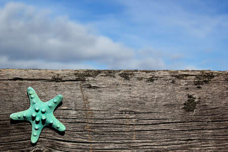 Starfish on a barn board wood with sky in background beachの写真素材