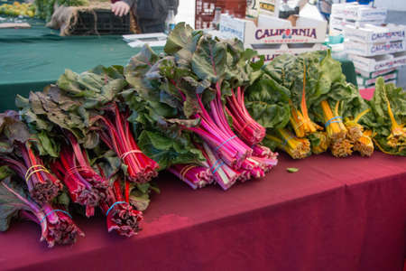 Red and Orange Kale at a farmers Marketの写真素材