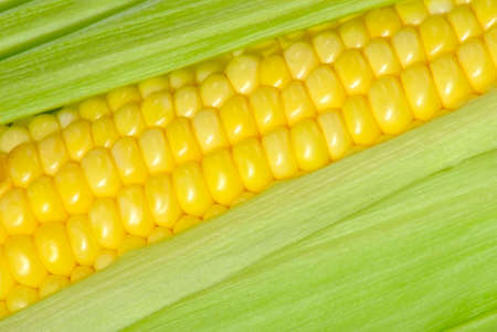  image of corn as background closeup
