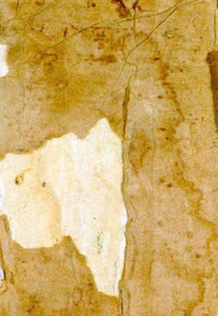 image of an old, wrinkled, torn paper as a backgroundの写真素材