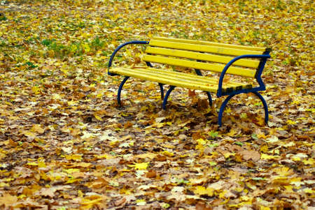Image of yellow bench in the park in autumn