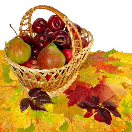 Isolated image of a basket with apples and pears on the dry leavesの写真素材