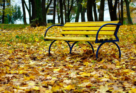 Image of yellow bench in the park in autumnの写真素材