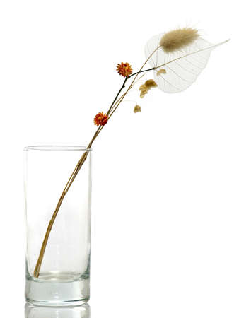 Isolated image of dried flowers in vaseの写真素材