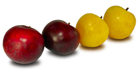 Isolated image of four ripe plums  in a row on a white backgroundの写真素材