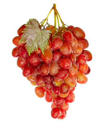 image of an isolated bunch of ripe grapes with a leaf on a white backgroundの写真素材