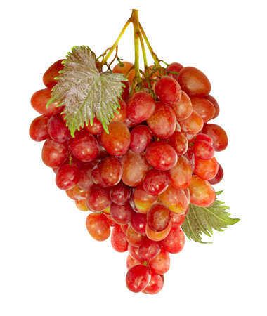 image of an isolated cluster of grapes on a white backgroundの写真素材