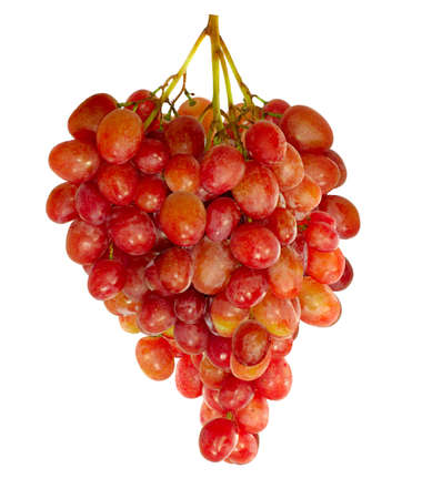 isolated images of ripe grapes on white backgroundの写真素材