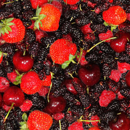 Assorted strawberry, raspberry, cherry and mulberryの写真素材