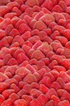 image of strawberries as a backgroundの写真素材