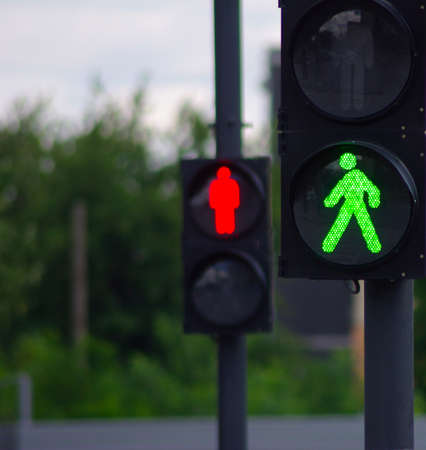 image of two traffic signals  on a background of treesの写真素材