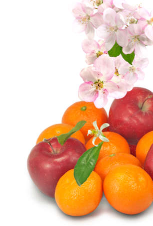 Isolated image of apples and citrus fruit on a white backgroundの写真素材