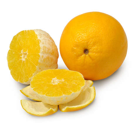 Isolated image of oranges on a white backgroundの写真素材